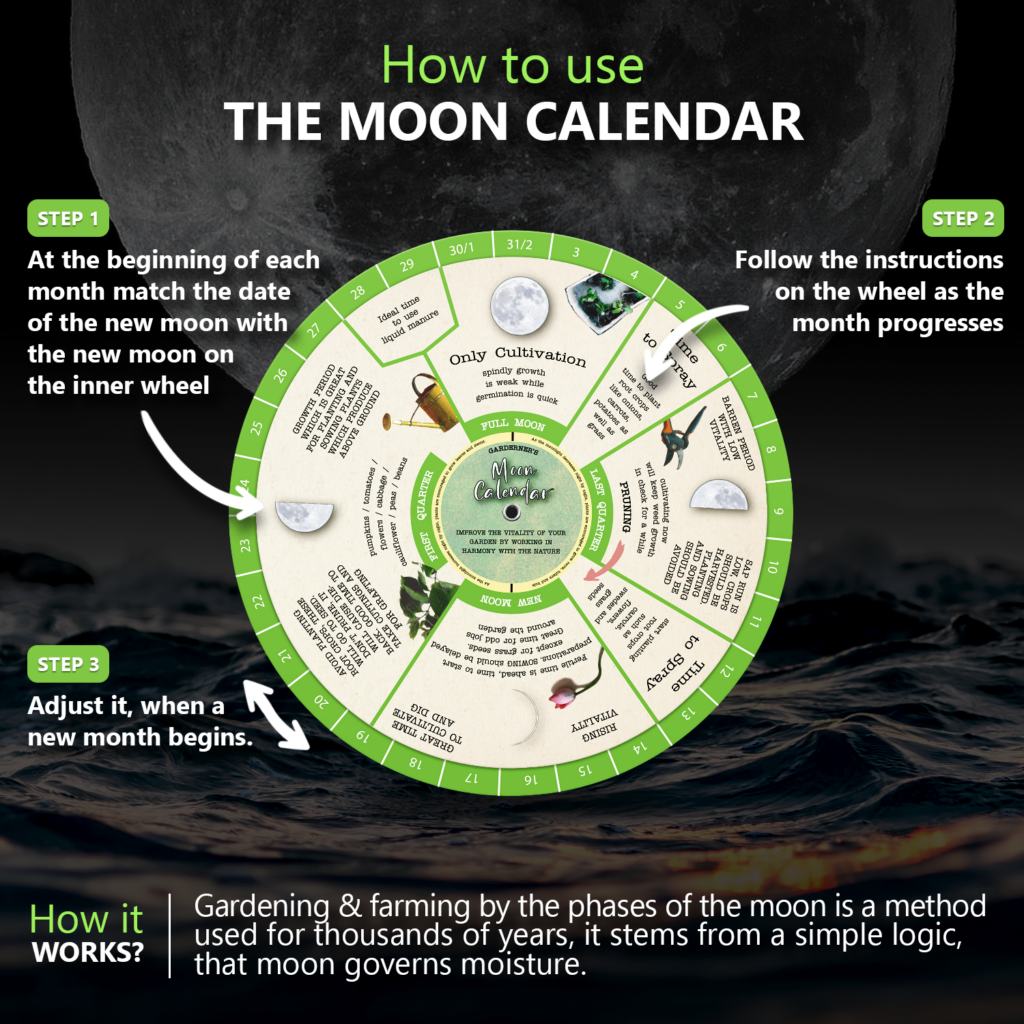 Gardening Moon Calendar, Perpetual Lunar Cycle Calendar for Gardeners