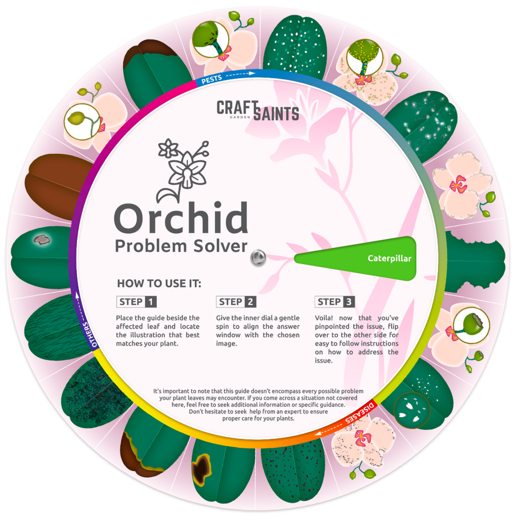 Orchid Problem Solver